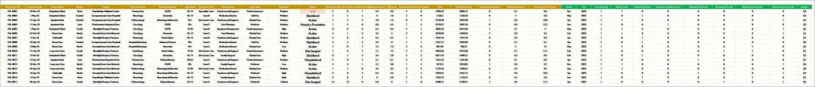 Data Sheet tab in Palliative Care Dashboard in Excel