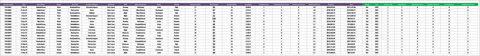 Data Sheet tab in Patient Care Homes Dashboard in Excel