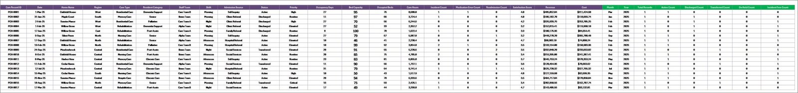 Data Sheet tab in Patient Care Homes Dashboard in Excel