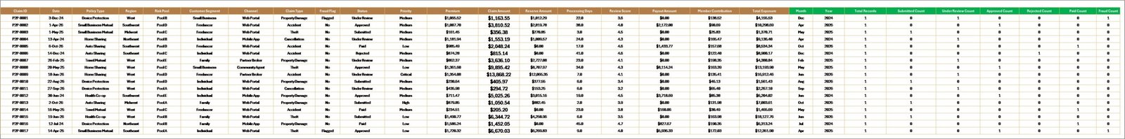 Peer to Peer Insurance Dashboard in Excel data sheet tab