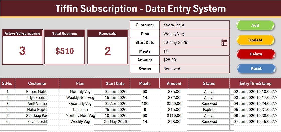 Tiffin Subscription Data Entry System in Excel - Image 2