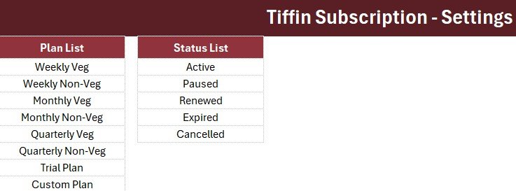 Tiffin Subscription Data Entry System in Excel - Image 3