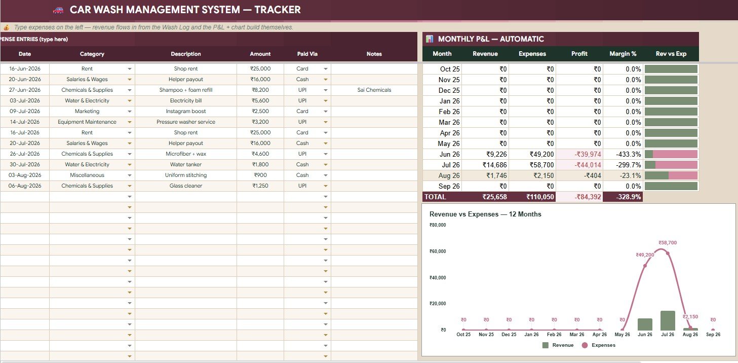 Expenses and P and L tab with expense categories, payment method, revenue, expenses, profit, margin, and monthly comparison