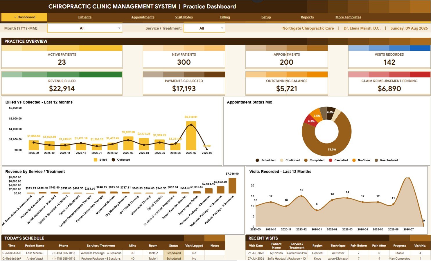Chiropractic Clinic Management System Tracker in Google Sheets