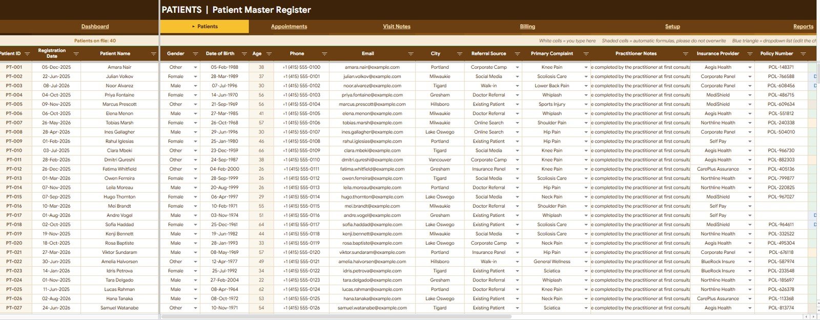 Chiropractic Clinic Management System Tracker in Google Sheets patient master register
