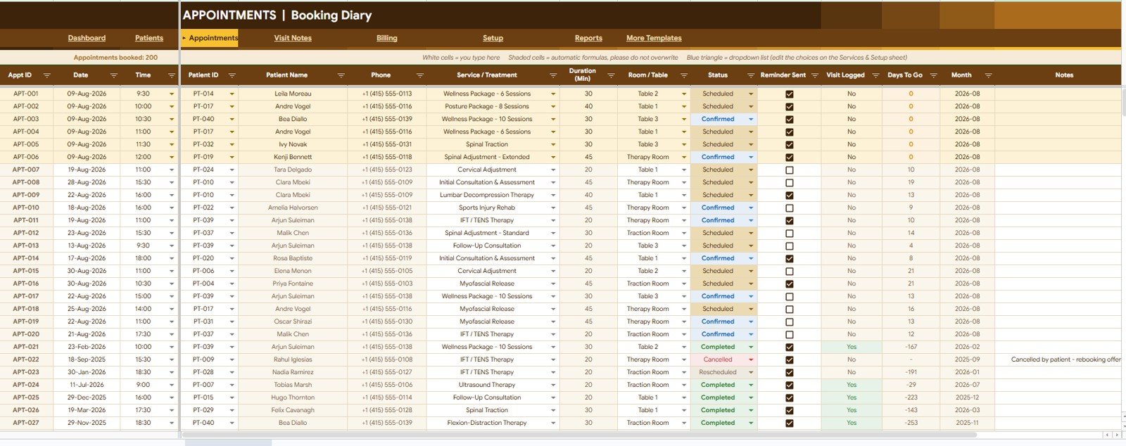Chiropractic Clinic Management System Tracker in Google Sheets appointments booking diary