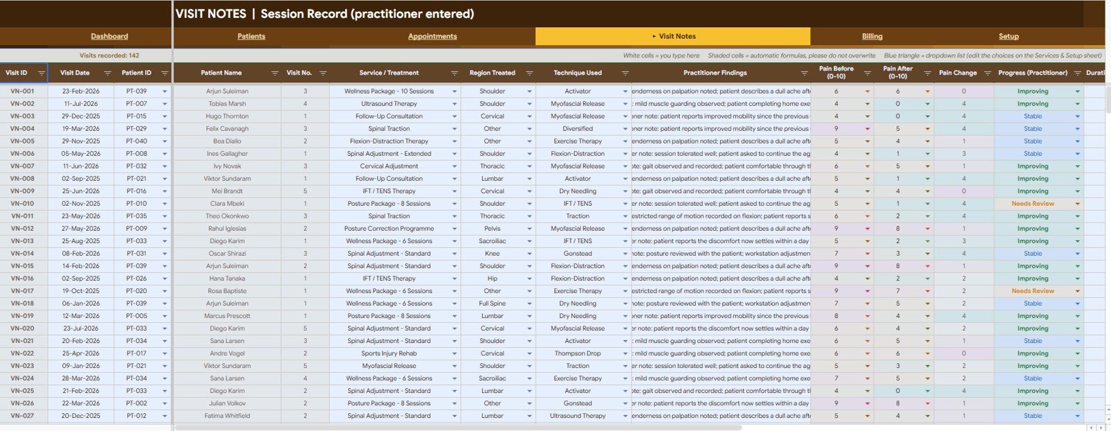Chiropractic Clinic Management System Tracker in Google Sheets visit notes session record