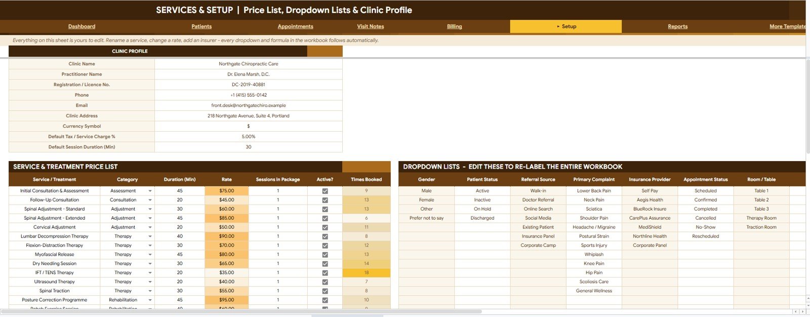 Chiropractic Clinic Management System Tracker in Google Sheets services and setup sheet tab