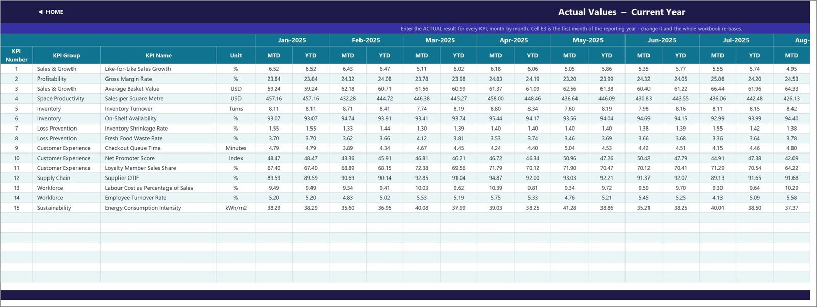 KPI Input Actual sheet with MTD and YTD columns for every month of the reporting year