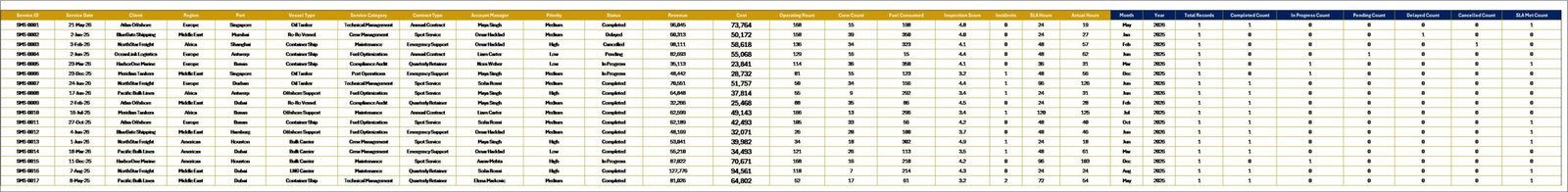 Data Sheet tab in Ship Management Services Dashboard in Excel