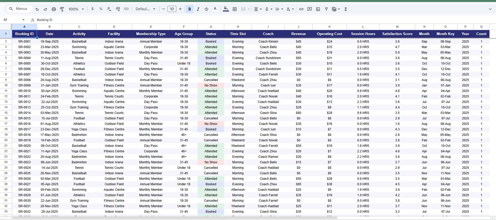 Data Sheet tab in Sports and Recreation Dashboard in Google Sheets