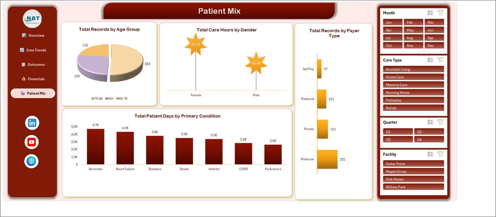 Geriatric Care Dashboard in Excel - Patient Mix page