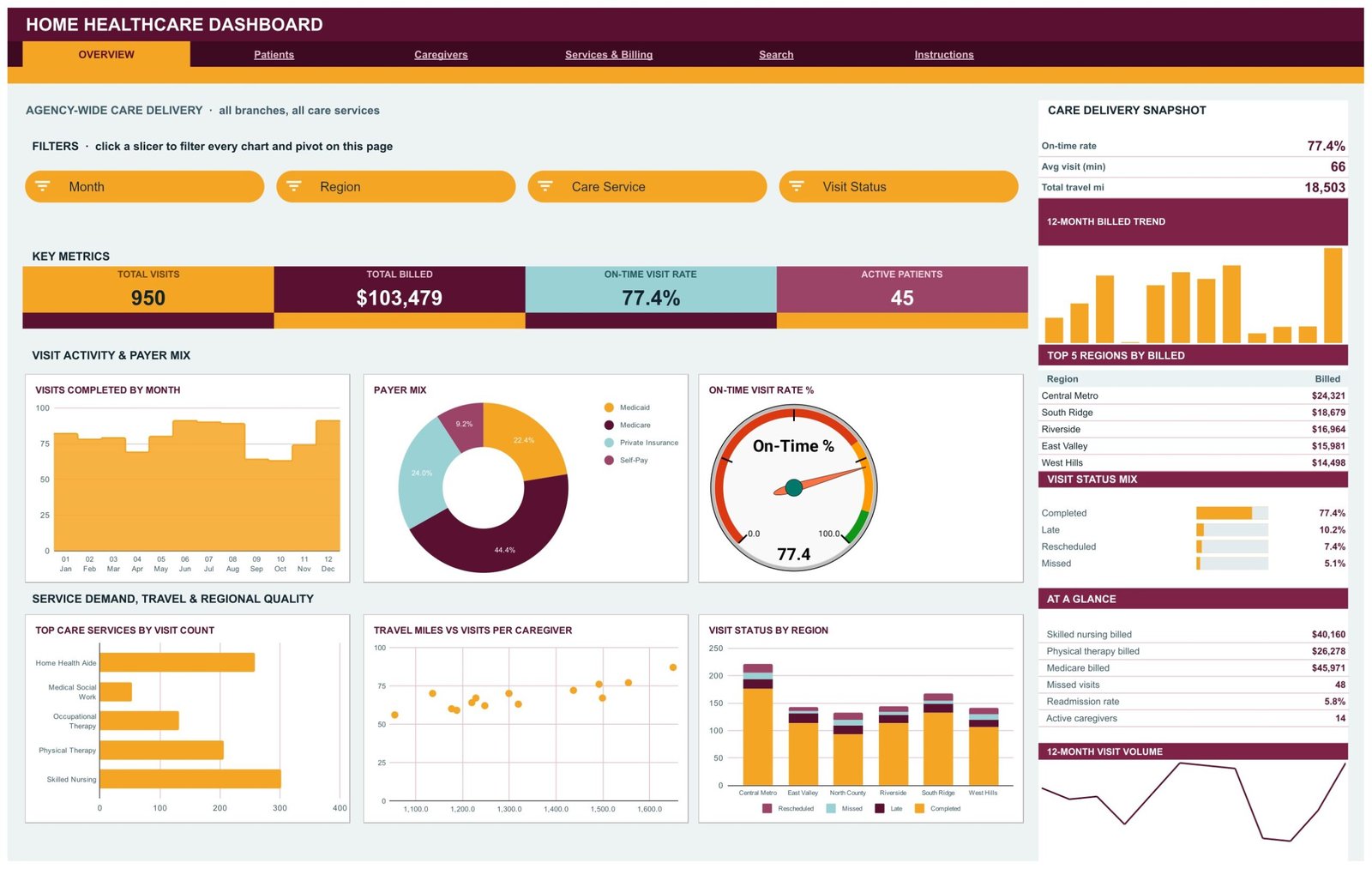 Home Healthcare Dashboard in Google Sheets - Overview page