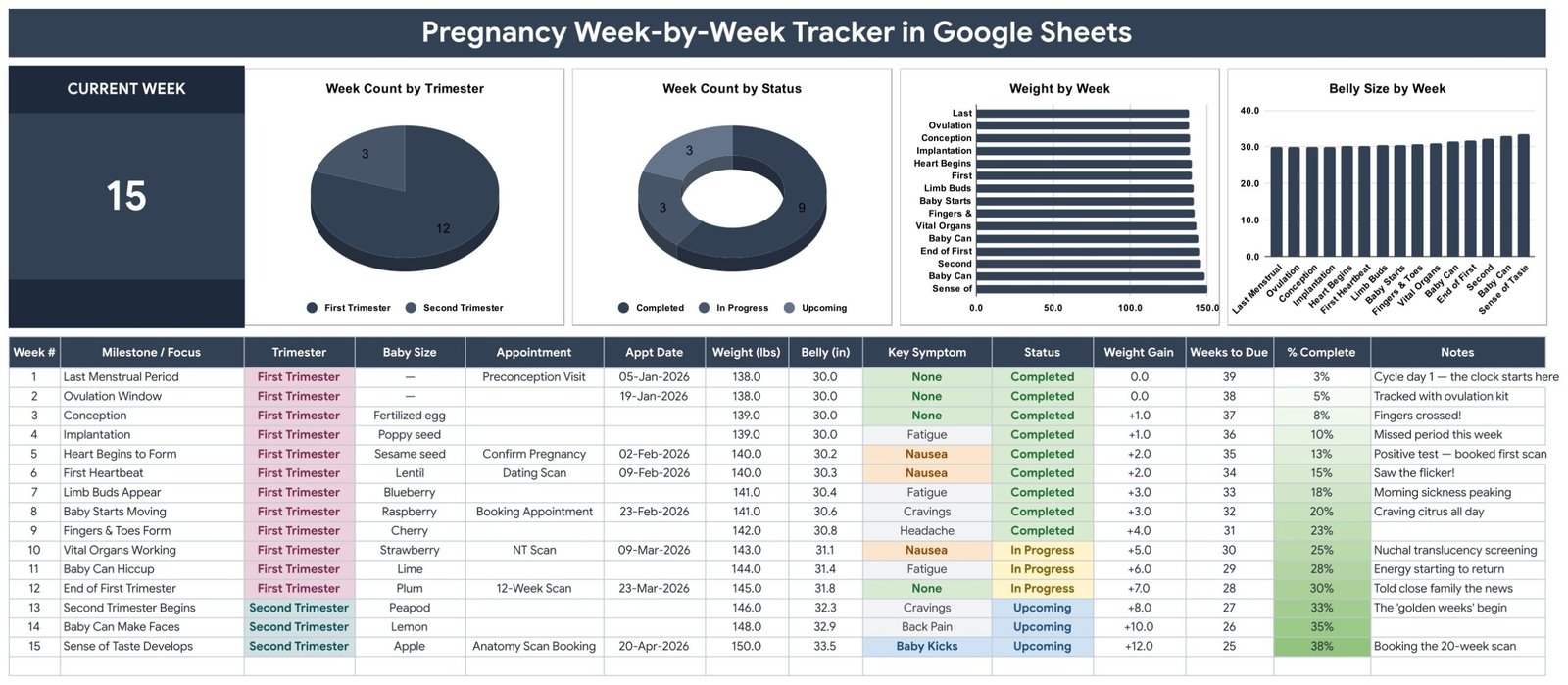 Pregnancy Week-by-Week Tracker in Google Sheets showing the Current Week card, four charts and the week-by-week log