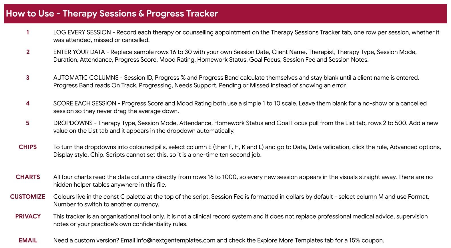 How to Use tab of the Therapy Sessions and Progress Tracker listing the five setup steps and the privacy note